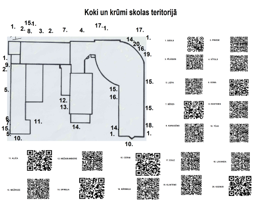 Koku un krūmu uzskaite